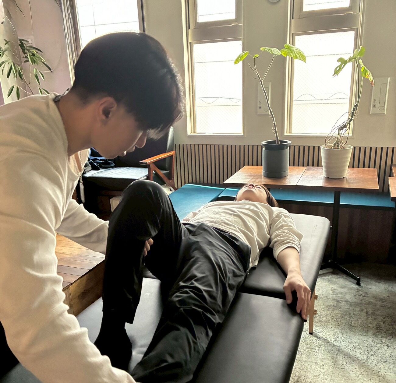 S__9510915